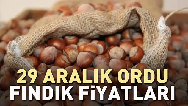 29 Aralık Ordu Fındık Fiyatları Rekor Bantta | İlçelerde Satış Neredeyse Durdu