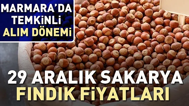 29 Aralık Sakarya Fındık Fiyatları | Marmara'da Temkinli Alım Dönemi