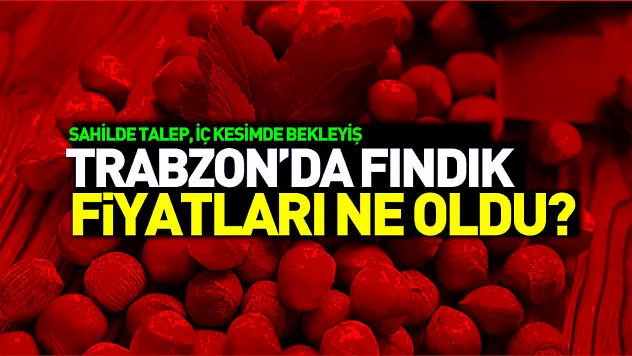 29 Aralık Trabzon Fındık Fiyatları | Sahilde Talep, İç Kesimde Bekleyiş