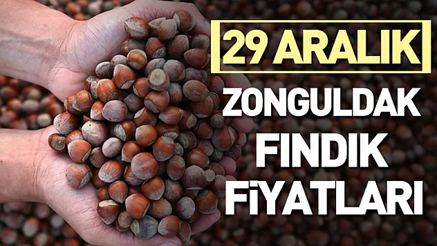 29 Aralık Zonguldak Fındık Fiyatları | Dar Bantta Güçlü Direnç