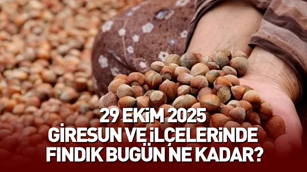 29 Ekim 2025 Giresun Güncel Fındık Fiyatları: Serbest Piyasada Fındık Fiyatı ne kadar?