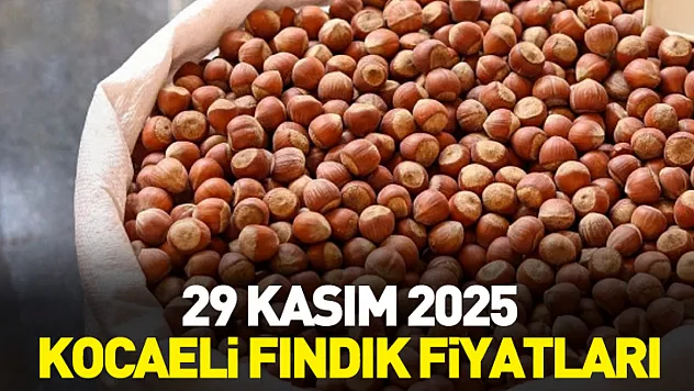 29 Kasım 2025 Kocaeli Fındık Fiyatları | Sakin Piyasada Kalite Yarışı Kızıştı
