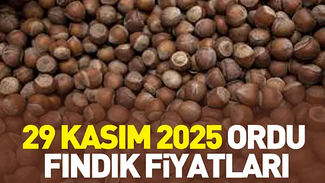 29 Kasım 2025 Ordu Fındık Fiyatları | İhracatçıların Hızlanması Piyasayı Alevlendirdi