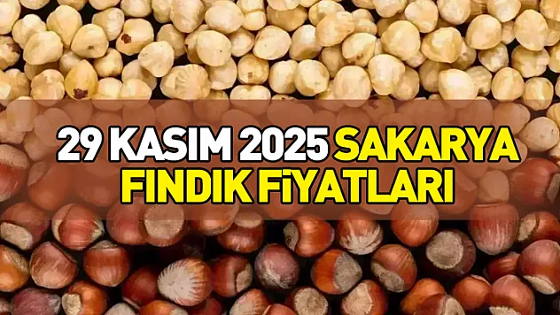 29 Kasım 2025 Sakarya Fındık Fiyatları | Yavaş Ama İstikrarlı Yükseliş Devam Ediyor