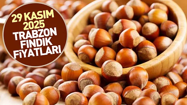 29 Kasım 2025 Trabzon Fındık Fiyatları | Dengeli Görünümün Ardında Yükseliş Baskısı Artıyor