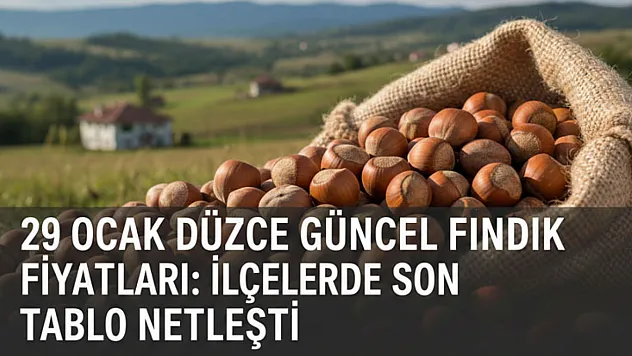 29 Ocak Düzce Güncel Fındık Fiyatları: İlçelerde Son Tablo Netleşti