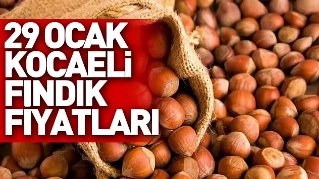 29 Ocak Kocaeli Fındık Fiyatları | Merkez ve Kandıra Güncel Liste