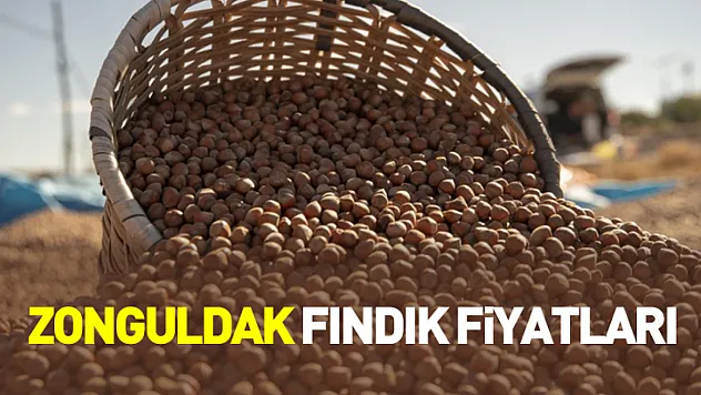 29 Ocak Zonguldak Fındık Fiyatları | Merkez, Ereğli ve Alaplı'da Son Rakamlar