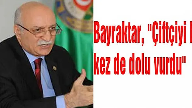 Bayraktar, 'Çiftçiyi bu kez de dolu vurdu'