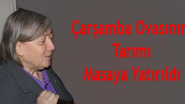 Çarşamba Ovasının tarımı masaya yatırıldı