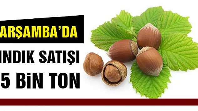Çarşamba'da fındık satışı yaklaşık 45 bin ton