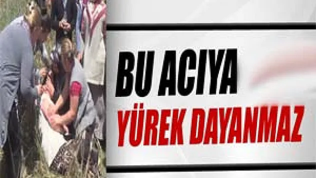 Bu acıya yürek dayanmaz