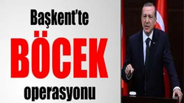 Başkent'te 'böcek' operasyonu