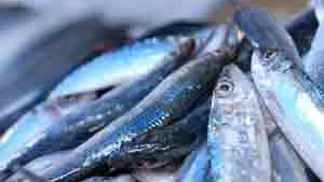 Türkiye 20 ülkeye hamsi ihraç etti