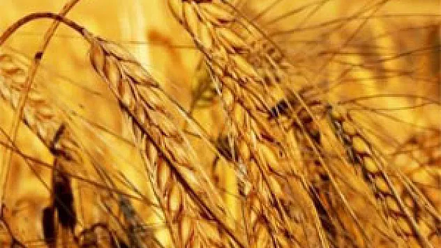 Verimi artırmanın yolu araziye değil tarıma yatırımdan geçiyor