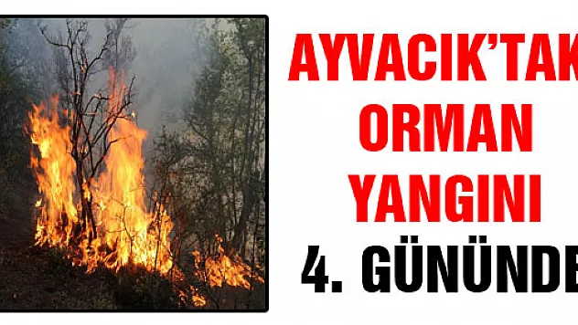 AYVACIK'TAKİ ORMAN YANGINI 4. GÜNÜNDE
