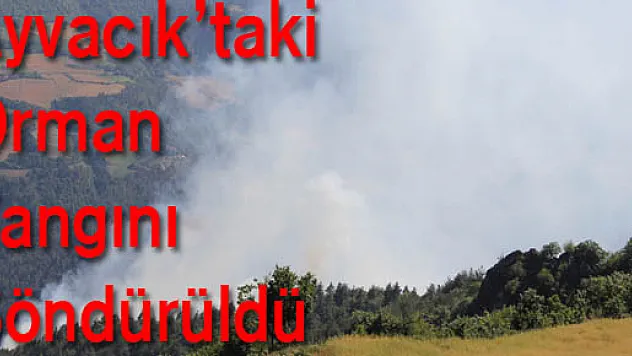 Ayvacık'taki Orman Yangını Söndürüldü     