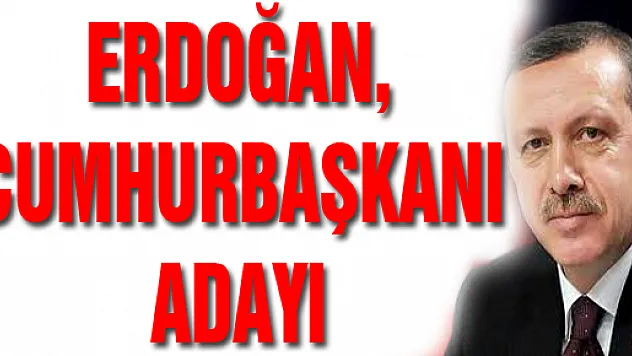 ERDOĞAN, CUMHURBAŞKANI ADAYI