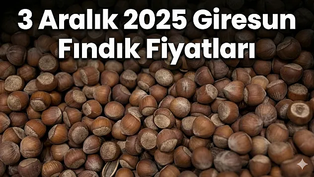 3 Aralık 2025 Giresun Fındık Fiyatları | Premium Rekabet Zirvede! 343 TL Gündemde