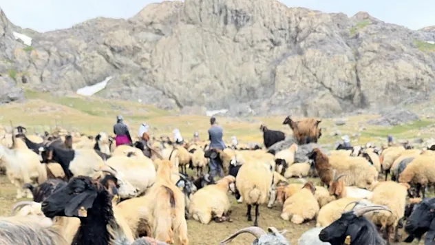 3 bin 500 rakımlı Sat Gölleri'ne anlamlı yolculuk: 22 doğasever Hakkari'nin saklı cennetinde buluştu
