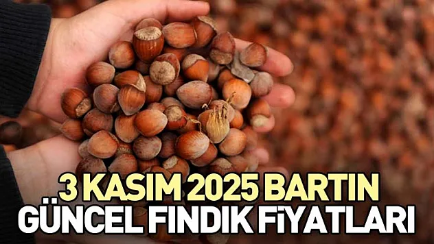 3 Kasım 2025 Bartın Güncel Fındık Fiyatları