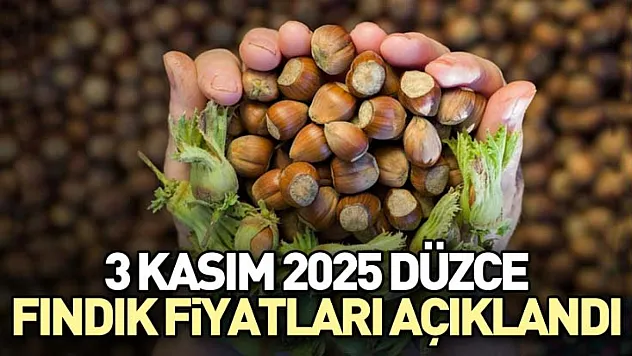 3 Kasım 2025 Düzce Fındık Fiyatları Açıklandı