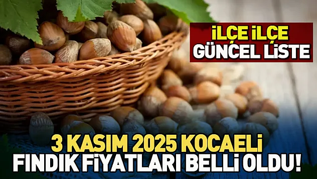 3 Kasım 2025 Kocaeli Fındık Fiyatları Belli Oldu! İlçe İlçe Güncel Liste