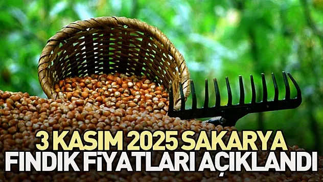 3 Kasım 2025 Sakarya Fındık Fiyatları Açıklandı