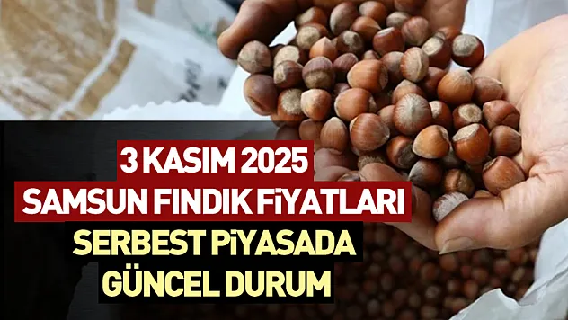 3 Kasım 2025 Samsun Fındık Fiyatları: Serbest Piyasada Güncel Durum