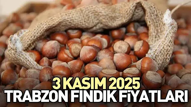 3 Kasım 2025 Trabzon Fındık Fiyatları