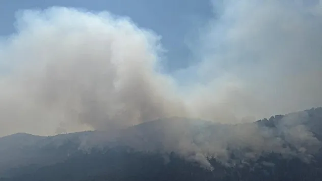 3 şehirde orman yangınlarına müdahale sürüyor