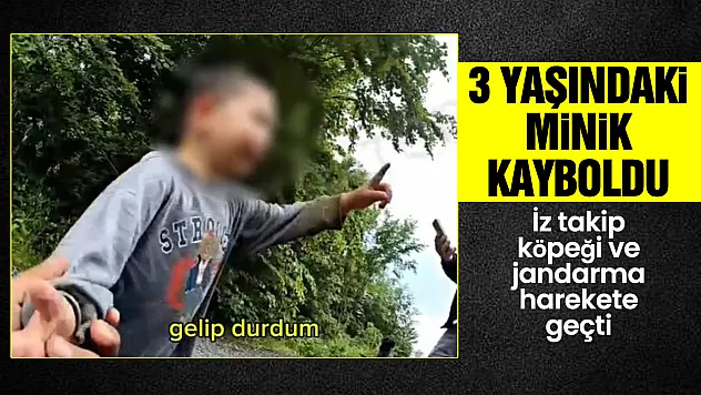 3 yaşındaki minik kayboldu, ekipler ormanlık alanda buldu