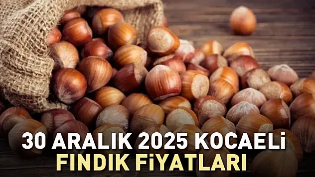 30 Aralık 2025 Kocaeli Fındık Fiyatları | Kandıra Marmara'ya Yön Veriyor