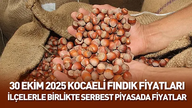 30 Ekim 2025 Kocaeli Güncel Fındık Fiyatları: Serbest Piyasada Dengeli Seyir Devam Ediyor