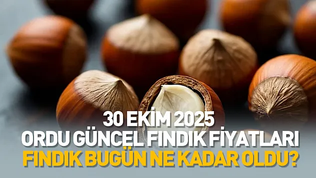 30 Ekim 2025 Ordu Güncel Fındık Fiyatları: Fındık Bugün Ne Kadar Oldu?