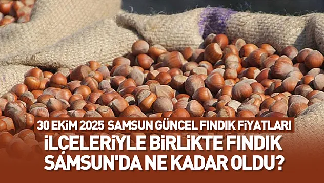 30 Ekim 2025 Samsun Güncel Fındık Fiyatları: İlçeleriyle birlikte Fındık Samsun'da Ne kadar oldu?