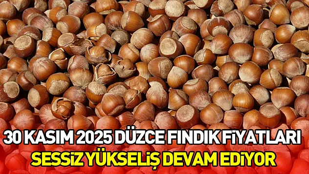 30 Kasım 2025 Düzce Fındık Fiyatları | Sessiz Yükseliş Devam Ediyor