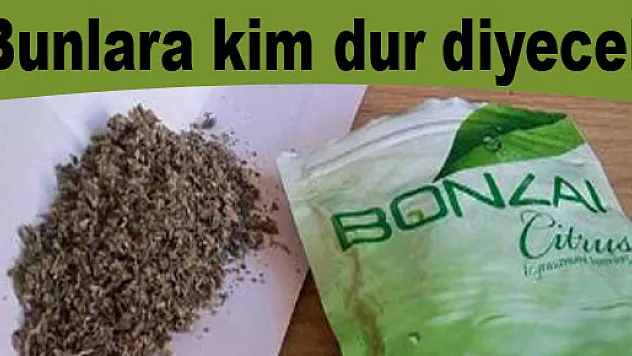 Bunlara kim dur diyecek?