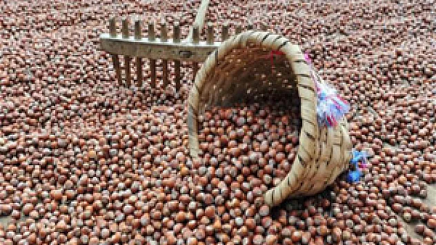 İhracatın Yarısı Yabancılara Geçti