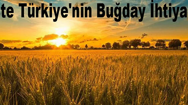 İşte Türkiye'nin Buğday İhtiyacı