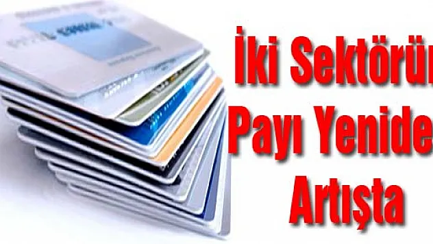 İki Sektörün Payı Yeniden Artışta