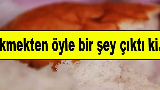 Ekmekten öyle bir şey çıktı ki...