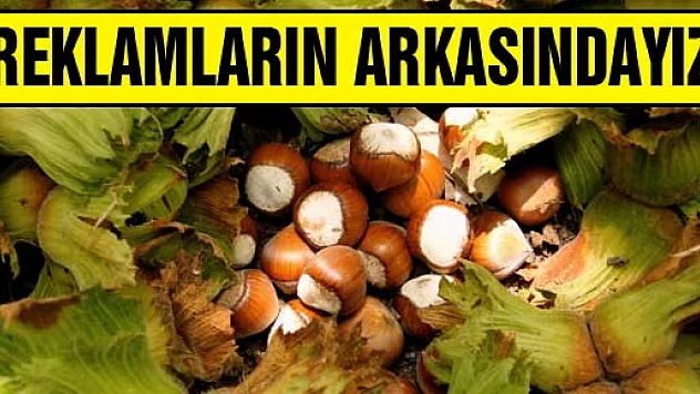'Rakamların Arkasındayız'