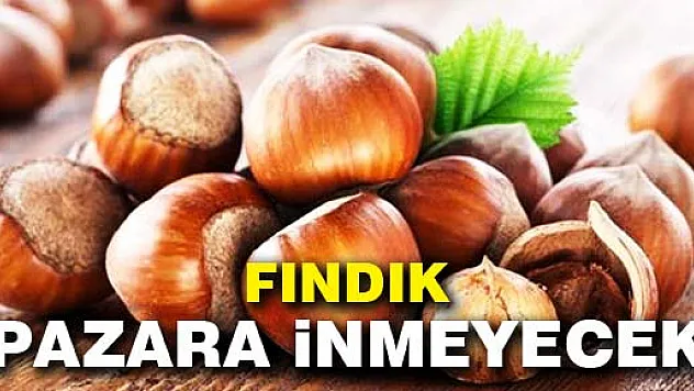 'Fındık 15 TL olana kadar Pazara inmeyecek'