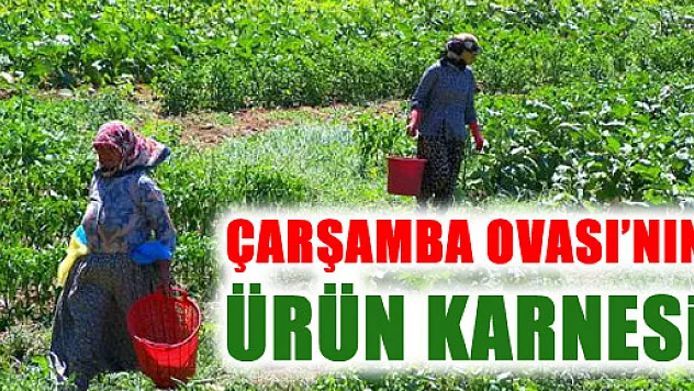 Başkan Güngör, bu yıl üretimini değerlendirdi