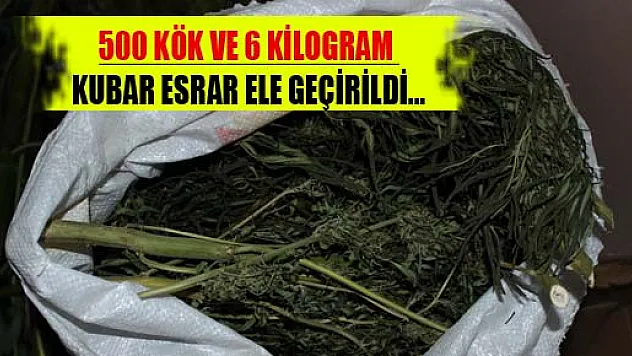 JANDARMADAN OPERASYON: 500 KÖK VE 6 KİLOGRAM KUBAR ESRAR ELE GEÇİRİLDİ...