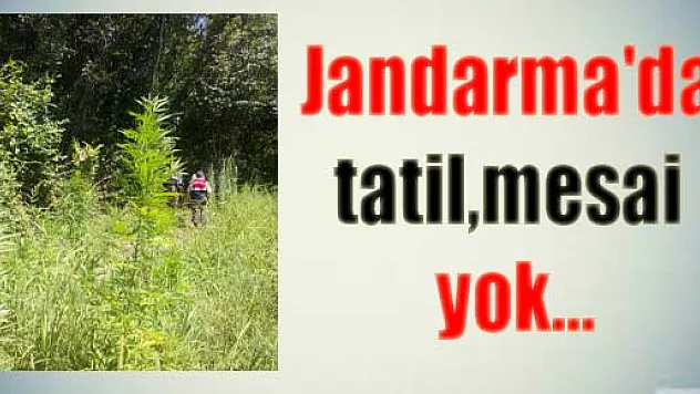 Jandarma'da tatil, mesai yok...