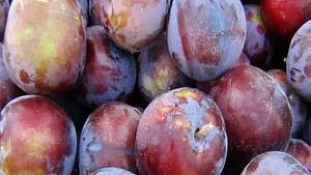 Sağlık Deposu Kırmızı ve Mor Erik