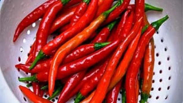 Acı Biber Kanseri Önlüyor