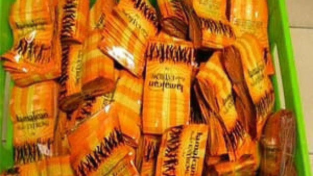 BAKANLIKLARDAN BONZAİ İLE MÜCADELE PLANI